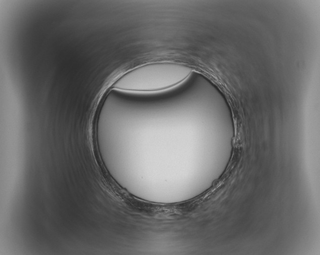X0000112750099200908201021