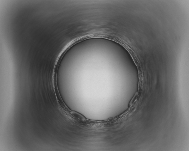 X0000112750100200908201021