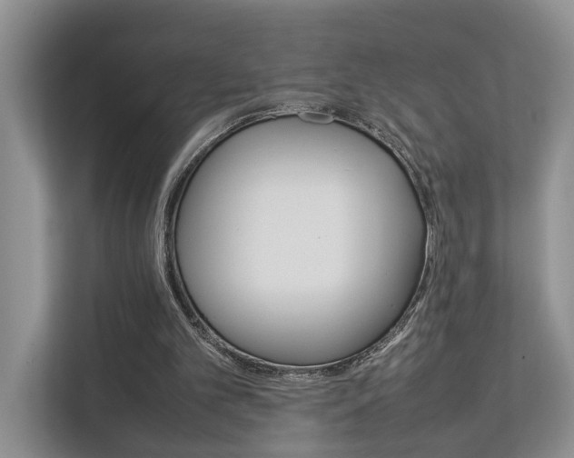 X0000112750101200908201021