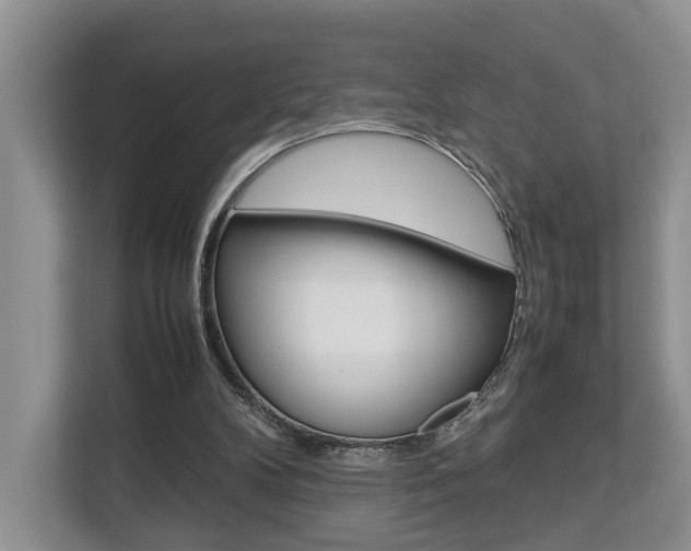 X0000112750104200908201021