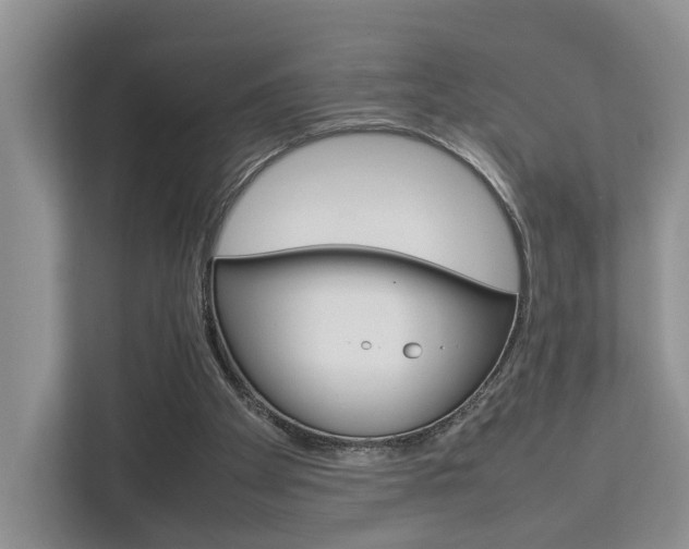 X0000112750105200908201021