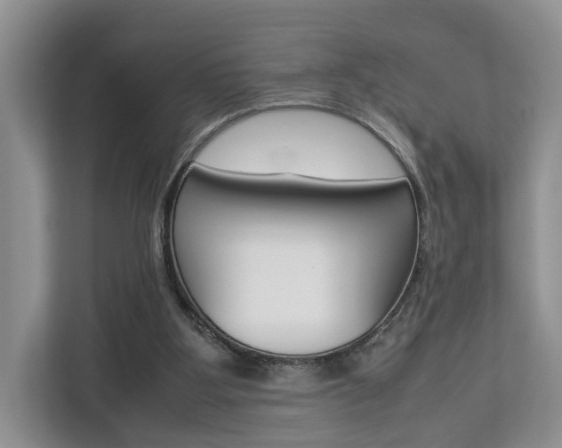 X0000112750107200908201021