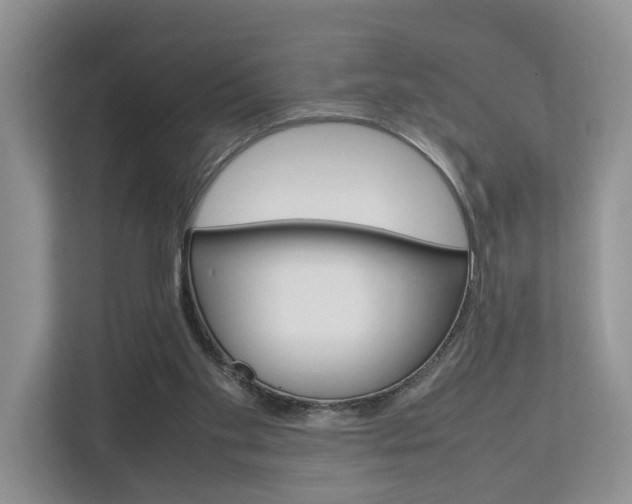X0000112750109200908201021