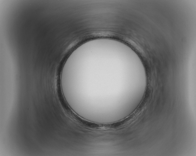 X0000112750111200908201021