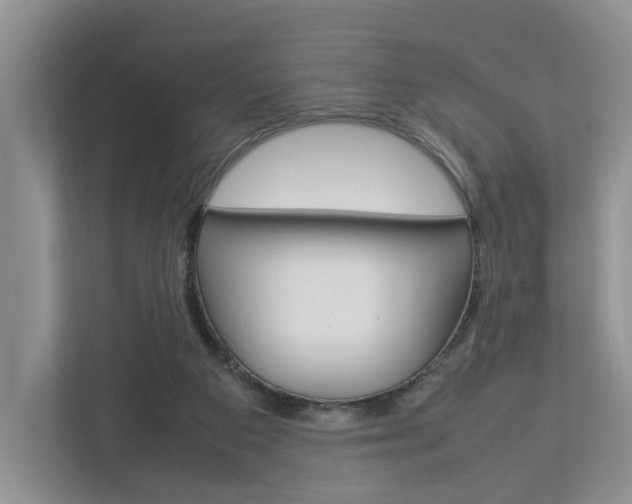 X0000112750113200908201021