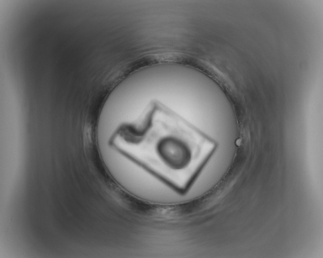 X0000112750117200908201021