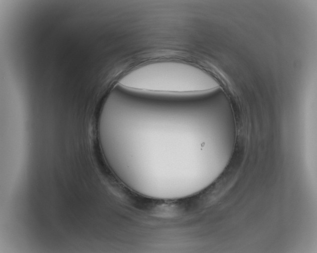 X0000112750119200908201021