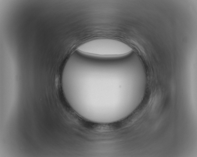 X0000112750123200908201021