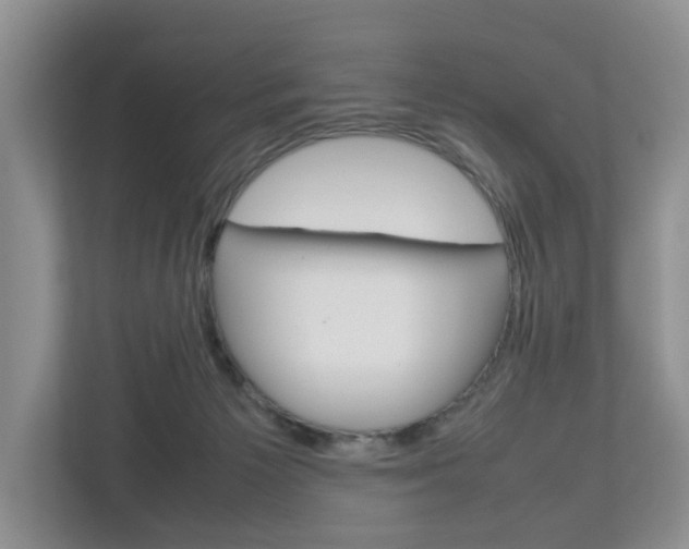 X0000112750125200908201021