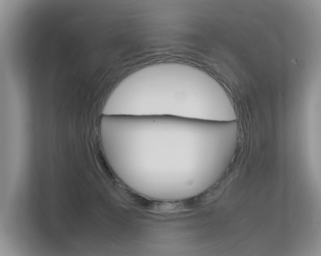X0000112750129200908201021