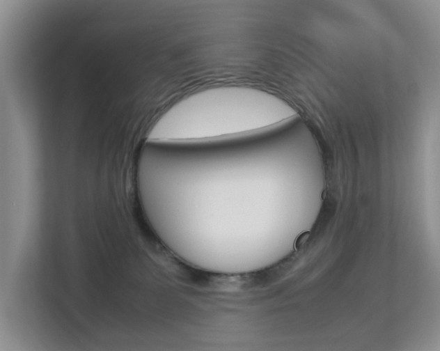 X0000112750131200908201021