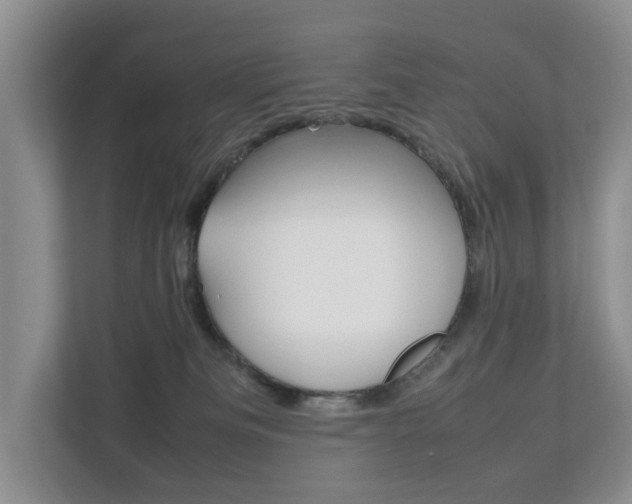 X0000112750133200908201021