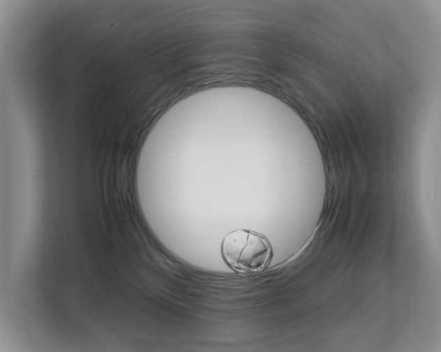 X0000112750136200908201021