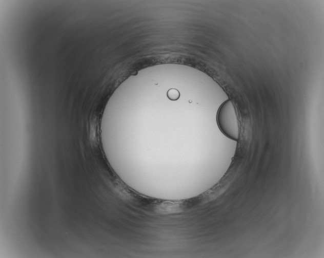 X0000112750138200908201021