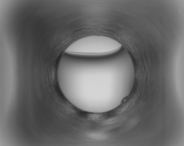 X0000112750139200908201021