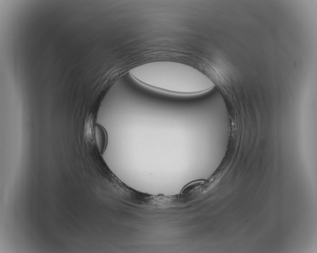 X0000112750143200908201021