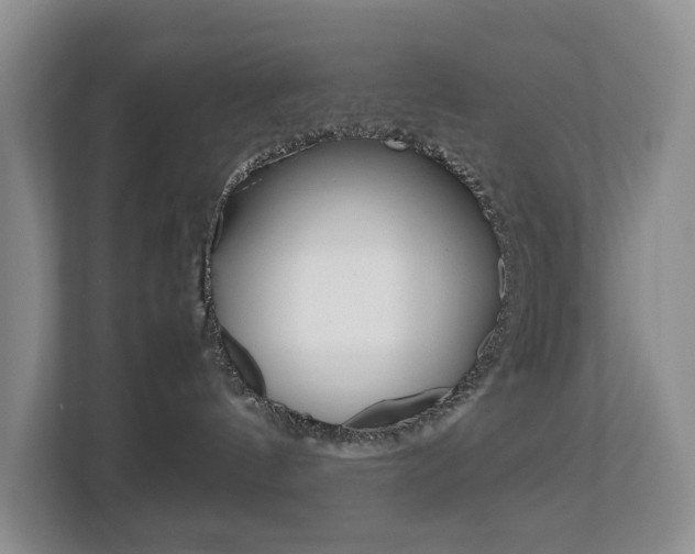 X0000112750144200908201021