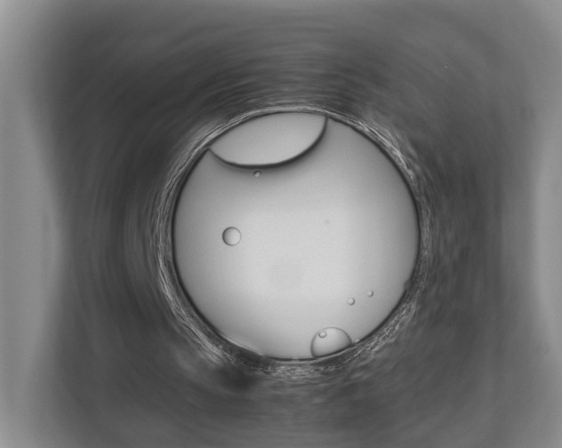 X0000112750145200908201020