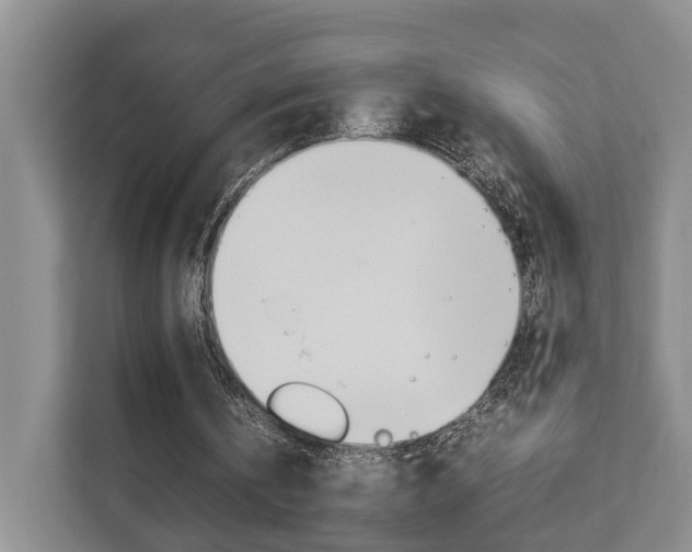 X0000112750146200908201020