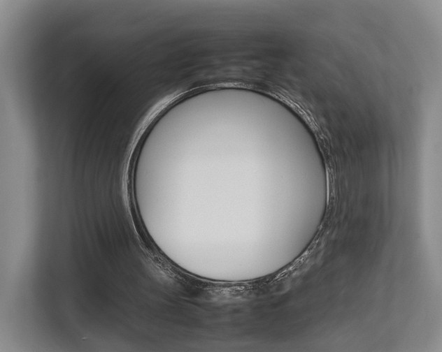 X0000112750147200908201020