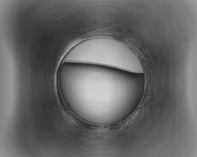X0000112750148200908201020