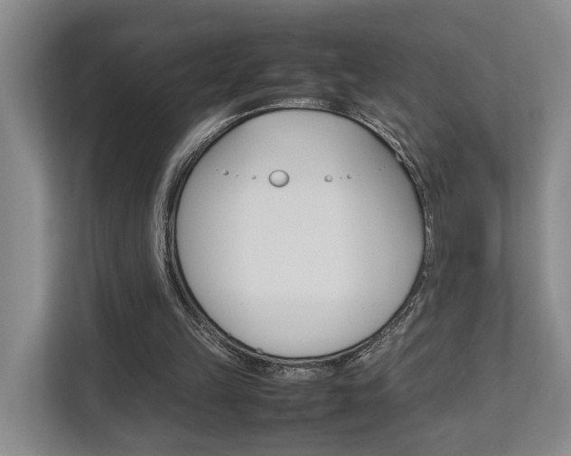 X0000112750149200908201020