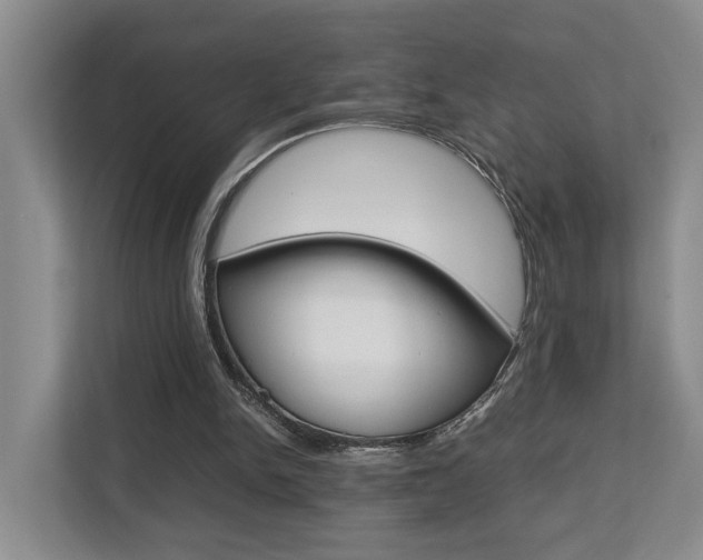 X0000112750150200908201020