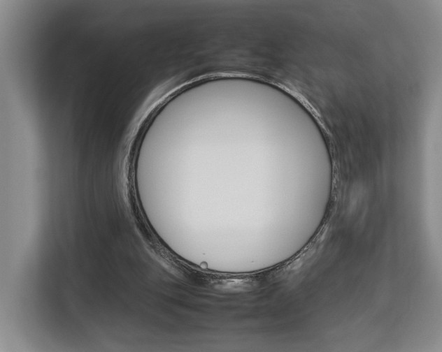 X0000112750151200908201020