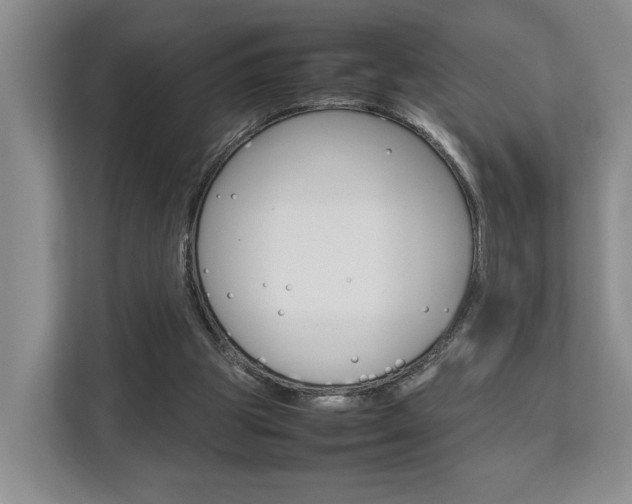 X0000112750153200908201020