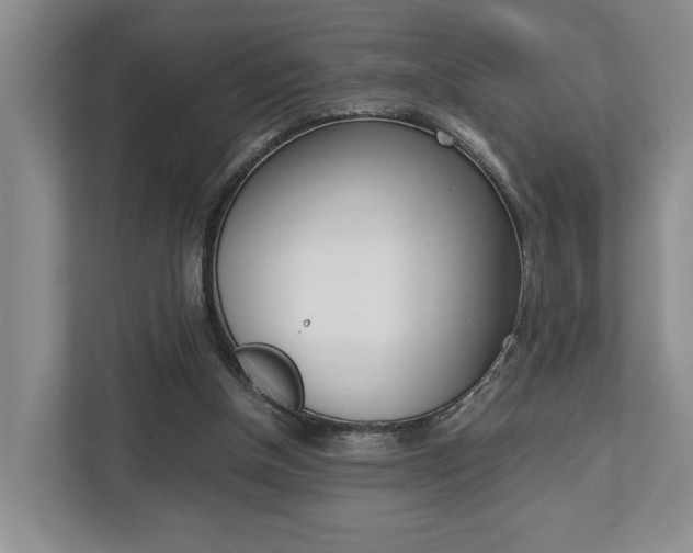 X0000112750154200908201020