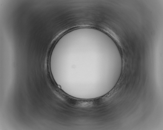 X0000112750155200908201020