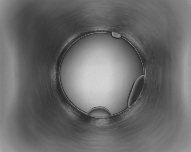 X0000112750156200908201020