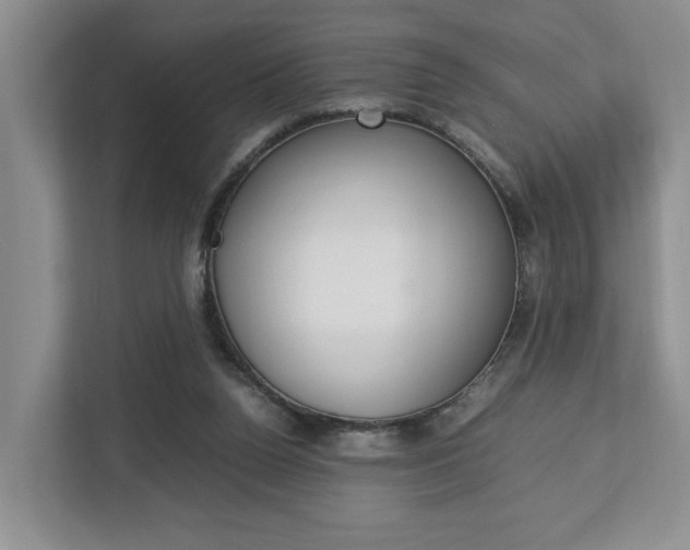 X0000112750160200908201020