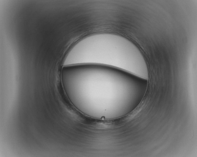 X0000112750164200908201020