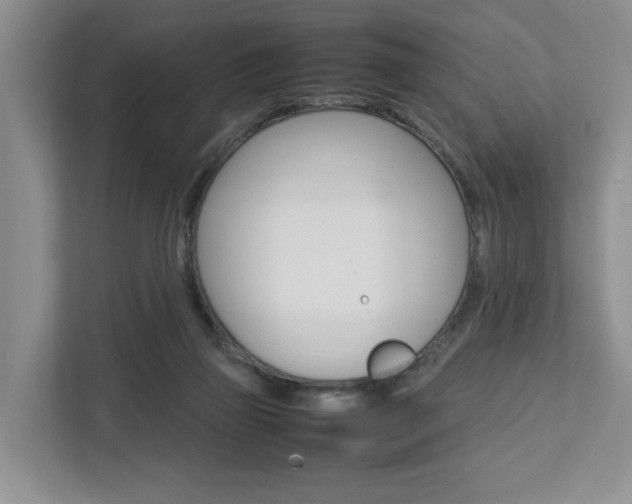 X0000112750165200908201020