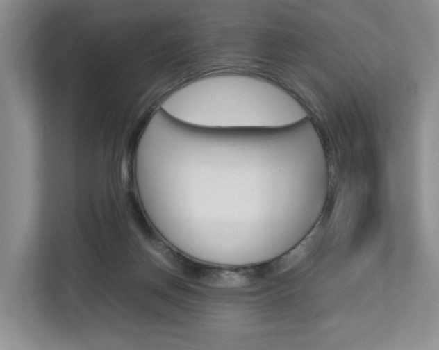 X0000112750166200908201020