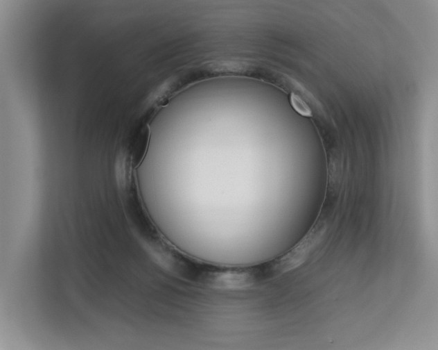 X0000112750168200908201020