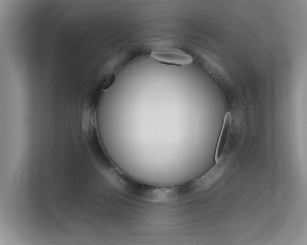 X0000112750172200908201020