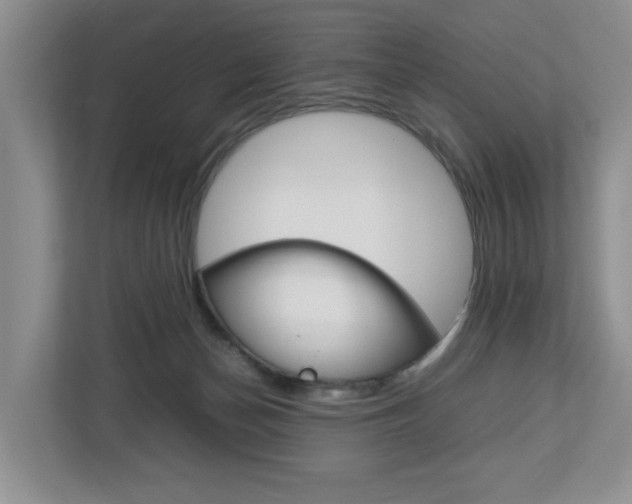 X0000112750174200908201020