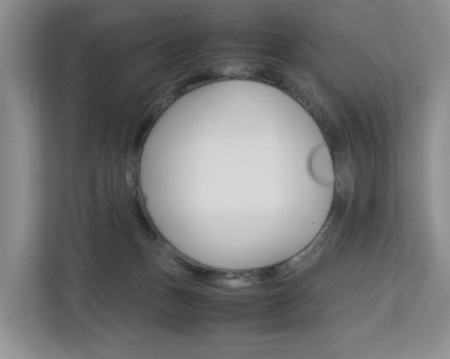 X0000112750175200908201020