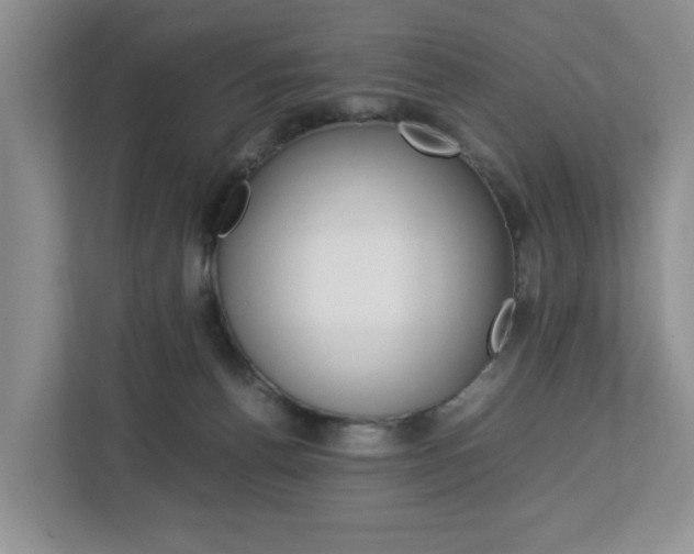 X0000112750176200908201020