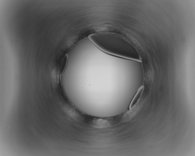 X0000112750180200908201020