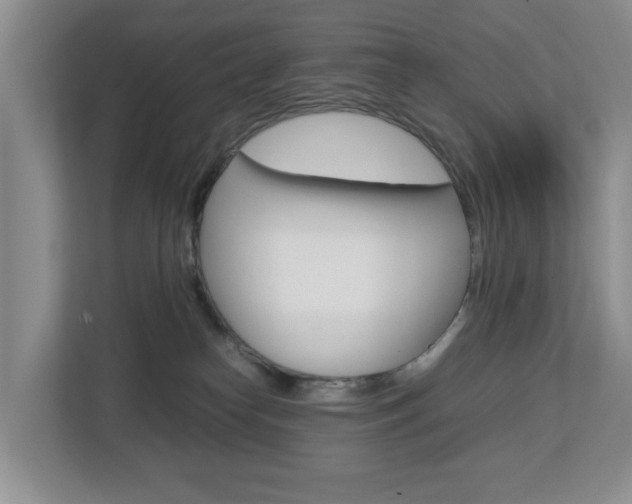 X0000112750182200908201021