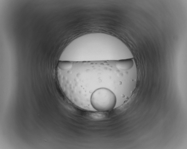 X0000112750183200908201021