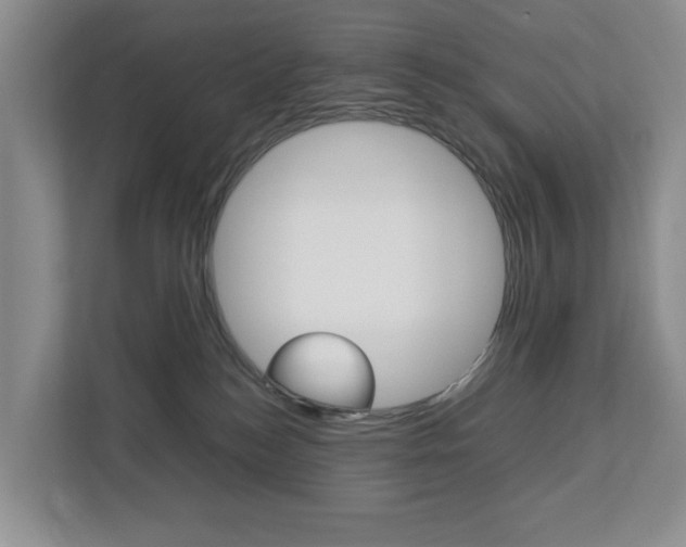 X0000112750184200908201021