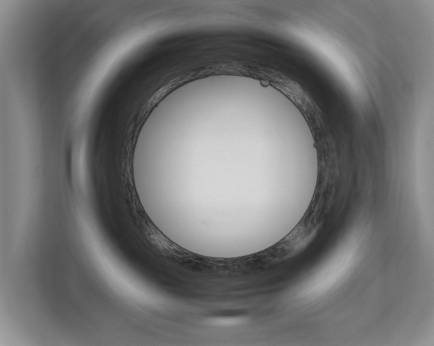 X0000112750189200908201021