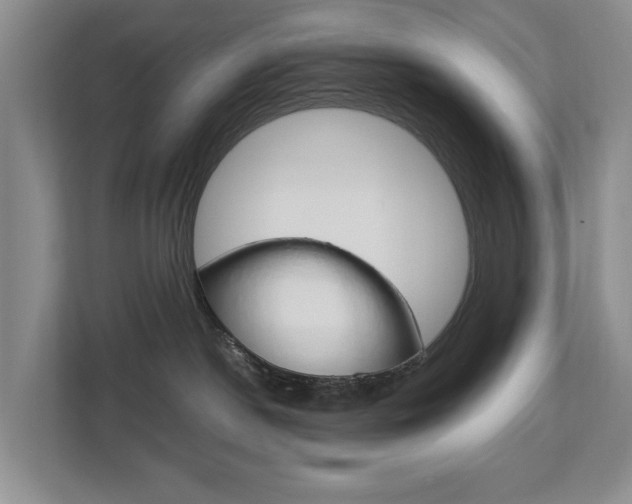 X0000112750190200908201021