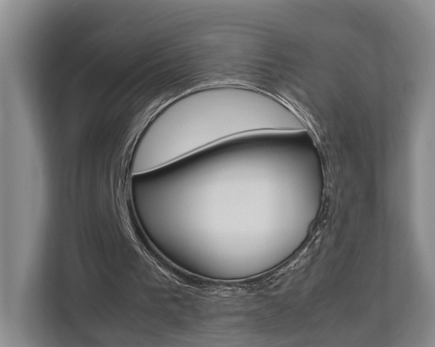 X0000112750193200908201020
