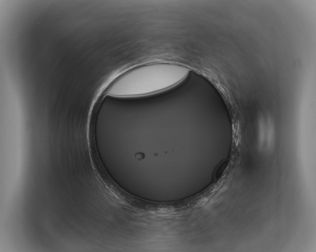 X0000112750196200908201020