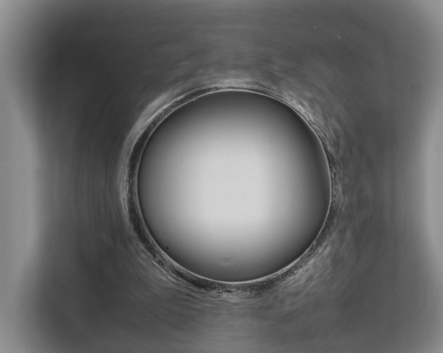 X0000112750199200908201020